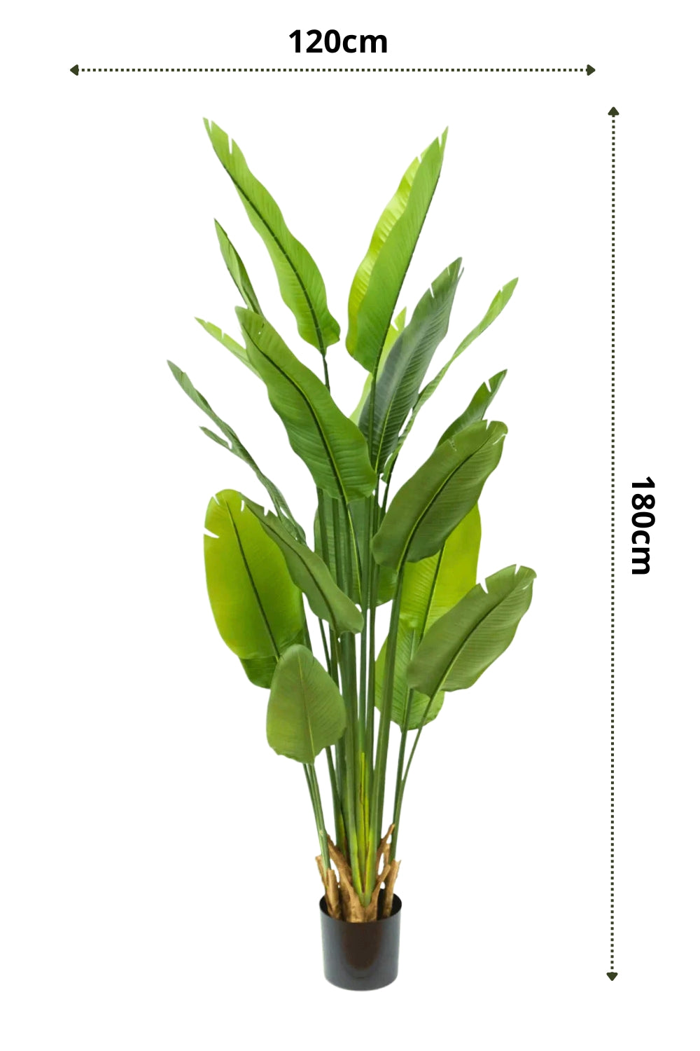 Kunstpflanze Strelitzia 180 cm