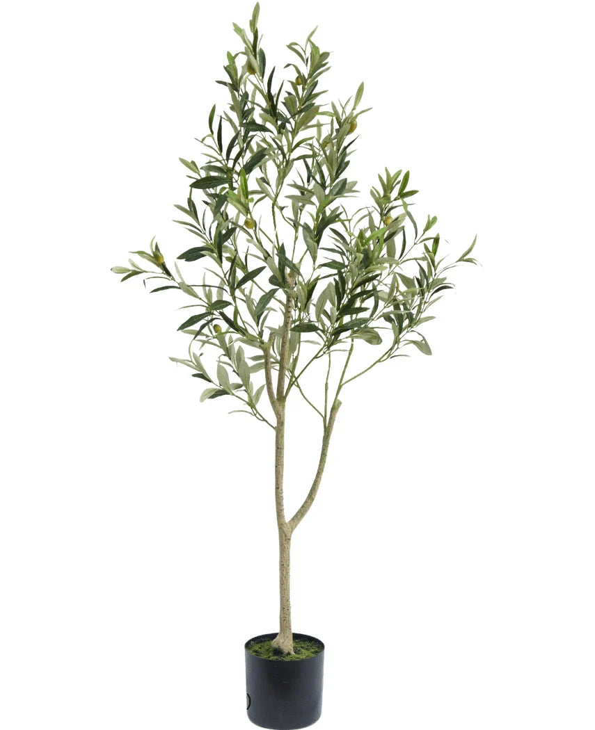 olivenbaum aussetzen Künstlicher Olivenbaum 120 cm
