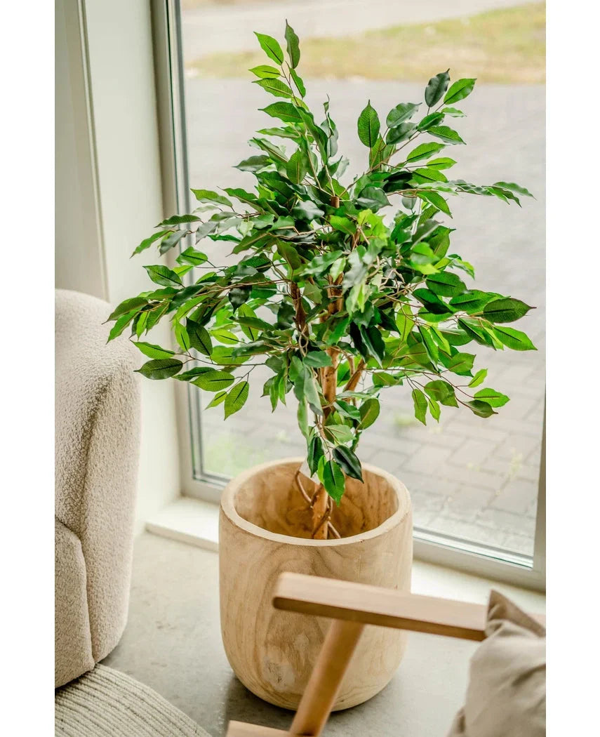 Kunstpflanze Ficus Grün 120 cm
