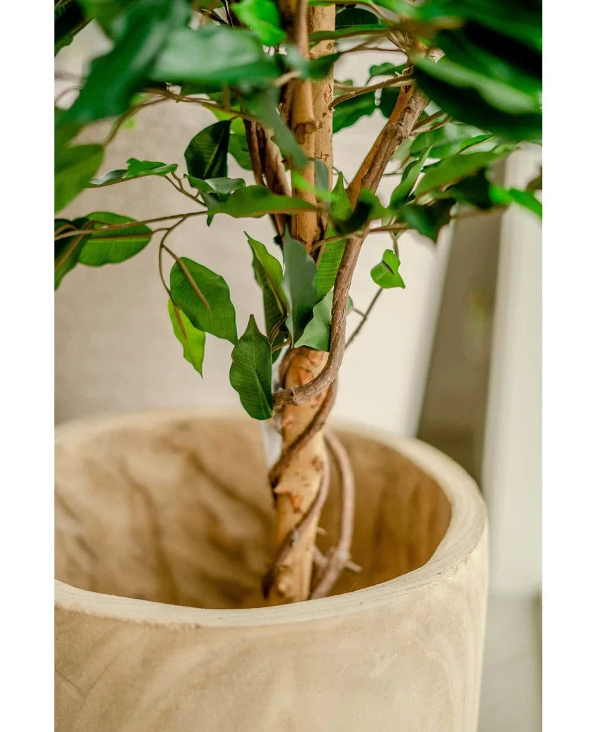 Kunstpflanze Ficus Grün 120 cm