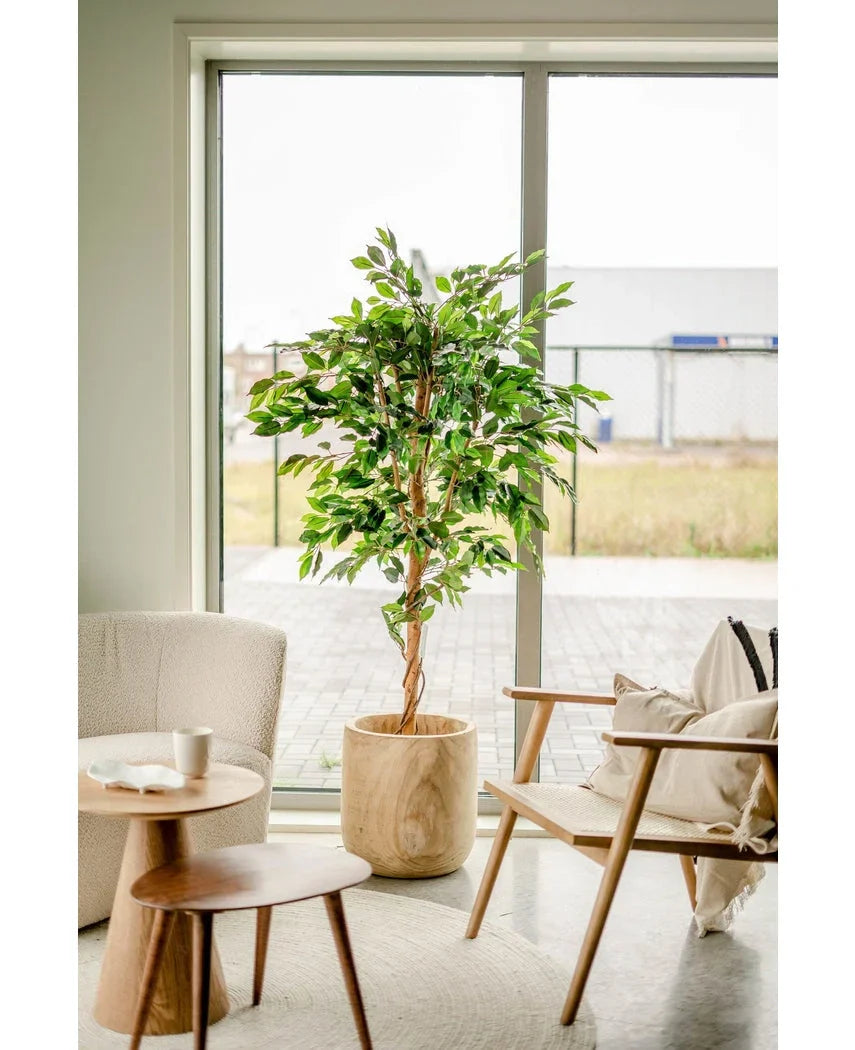 Kunstpflanze Ficus Grün 180 cm