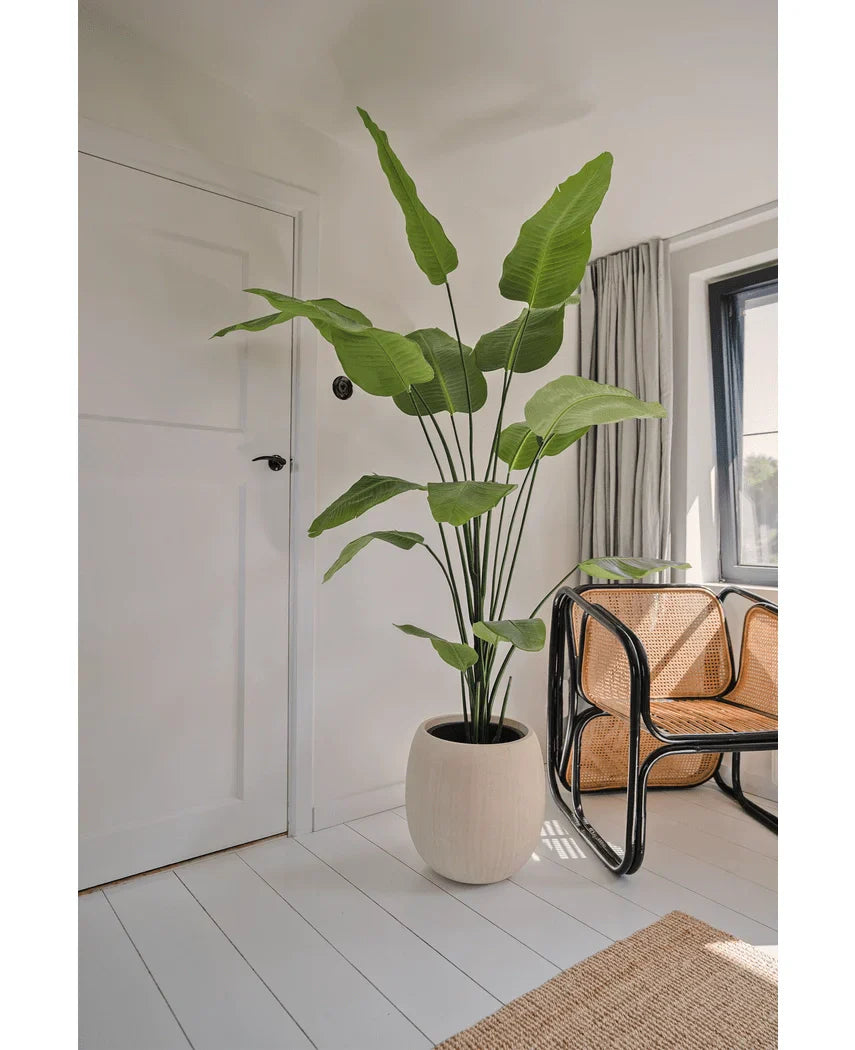 Kunstpflanze Strelitzia 180 cm Real Touch