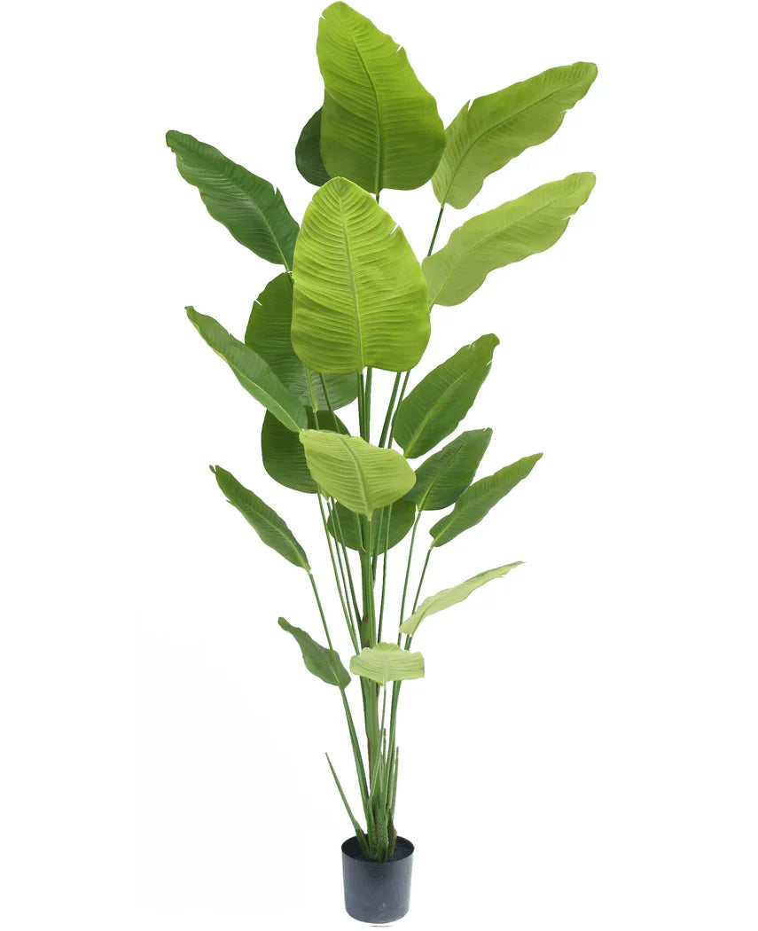 Kunstpflanze Strelitzia 240 cm Real Touch