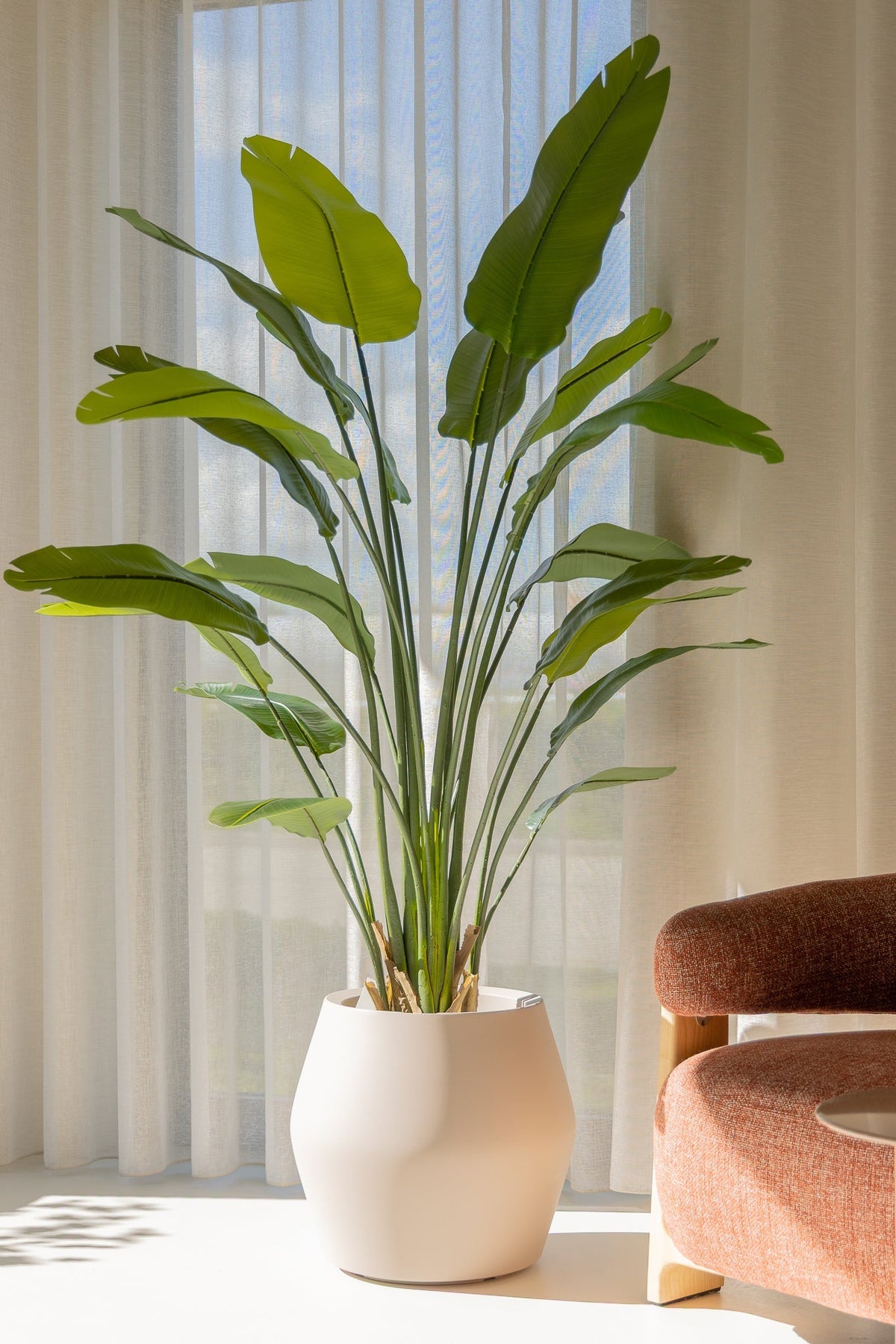 Kunstpflanze Strelitzia 180 cm