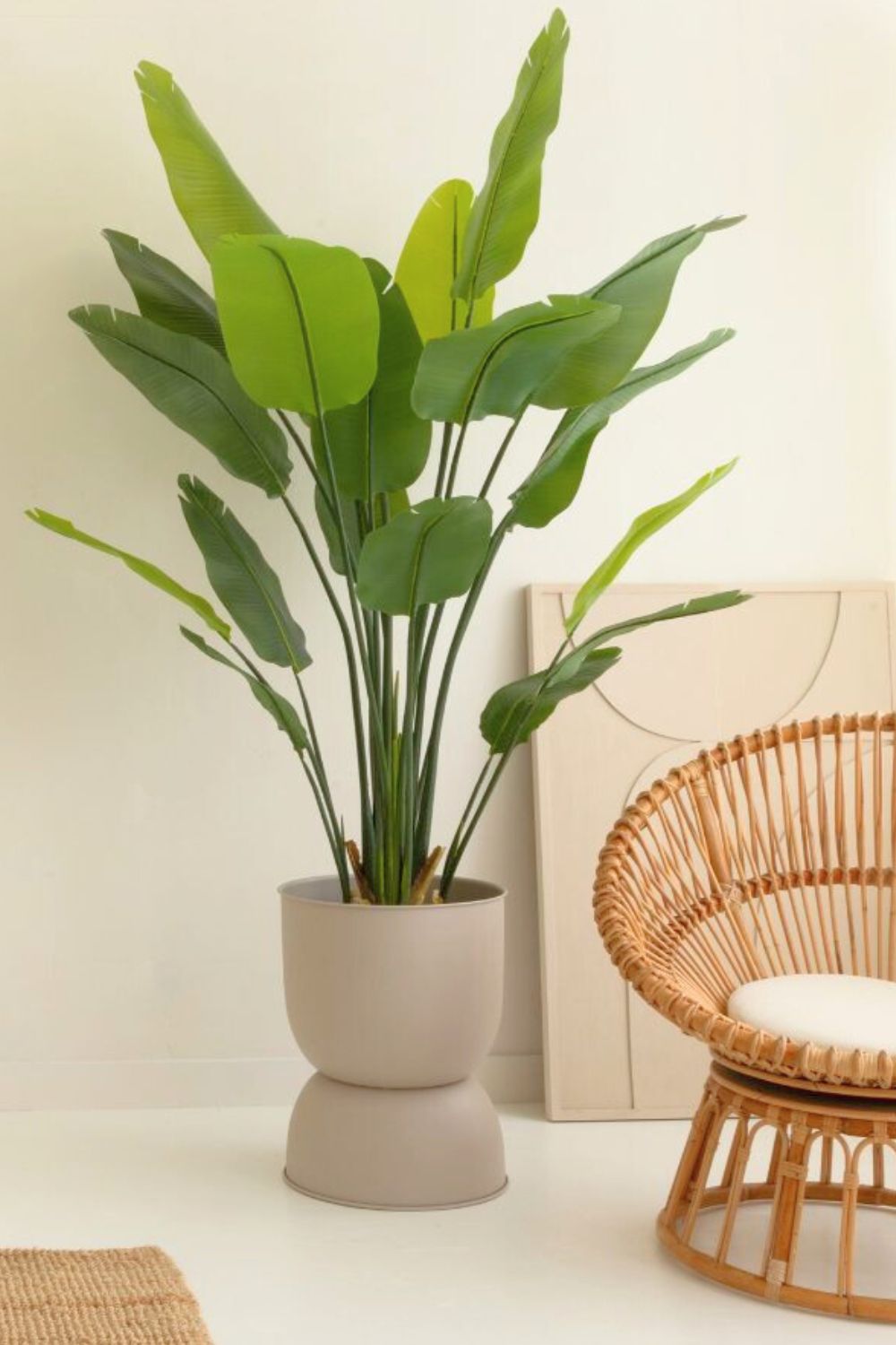 Kunstpflanze Strelitzia 180 cm