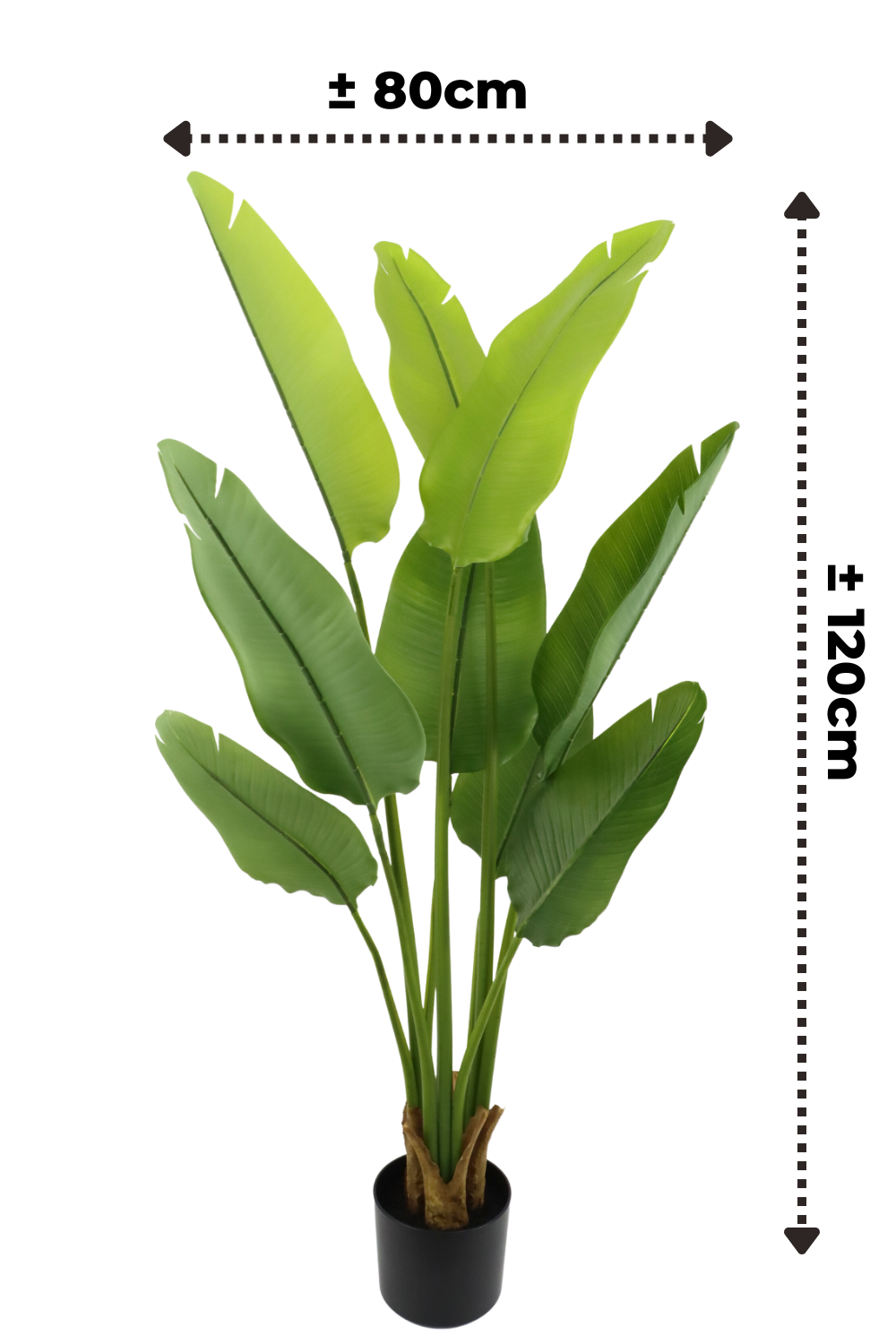 Kunstpflanze Strelitzia 120 cm