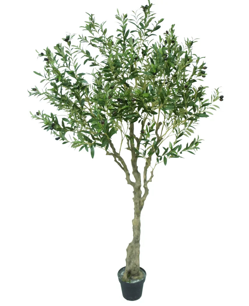 Künstlicher Olivenbaum 200 cm
