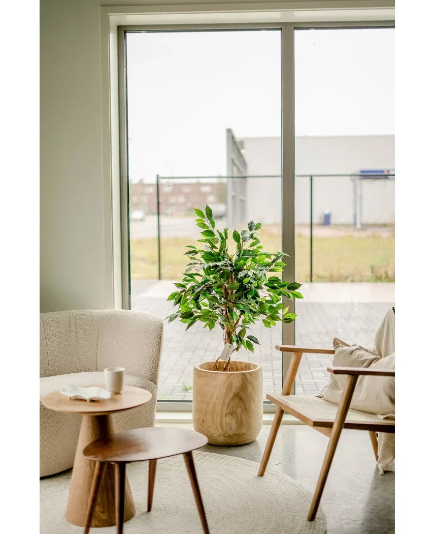 Kunstpflanze Ficus Grün 120 cm