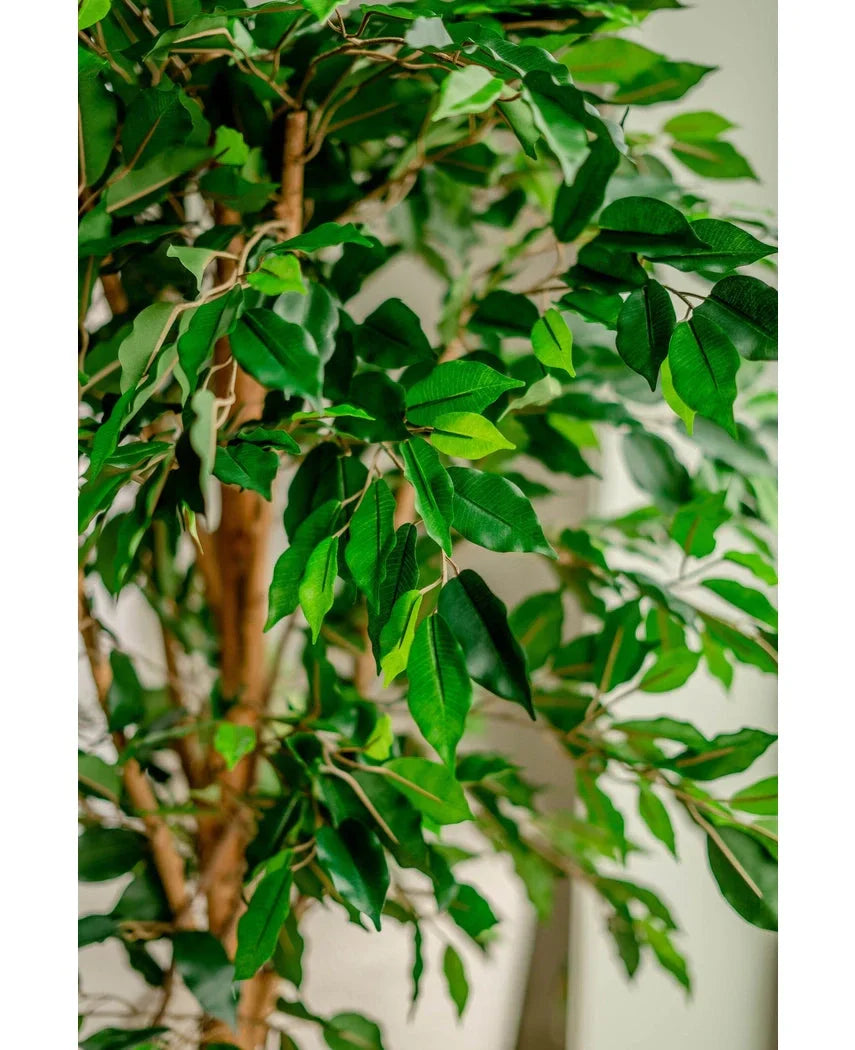 Kunstpflanze Ficus Grün 180 cm