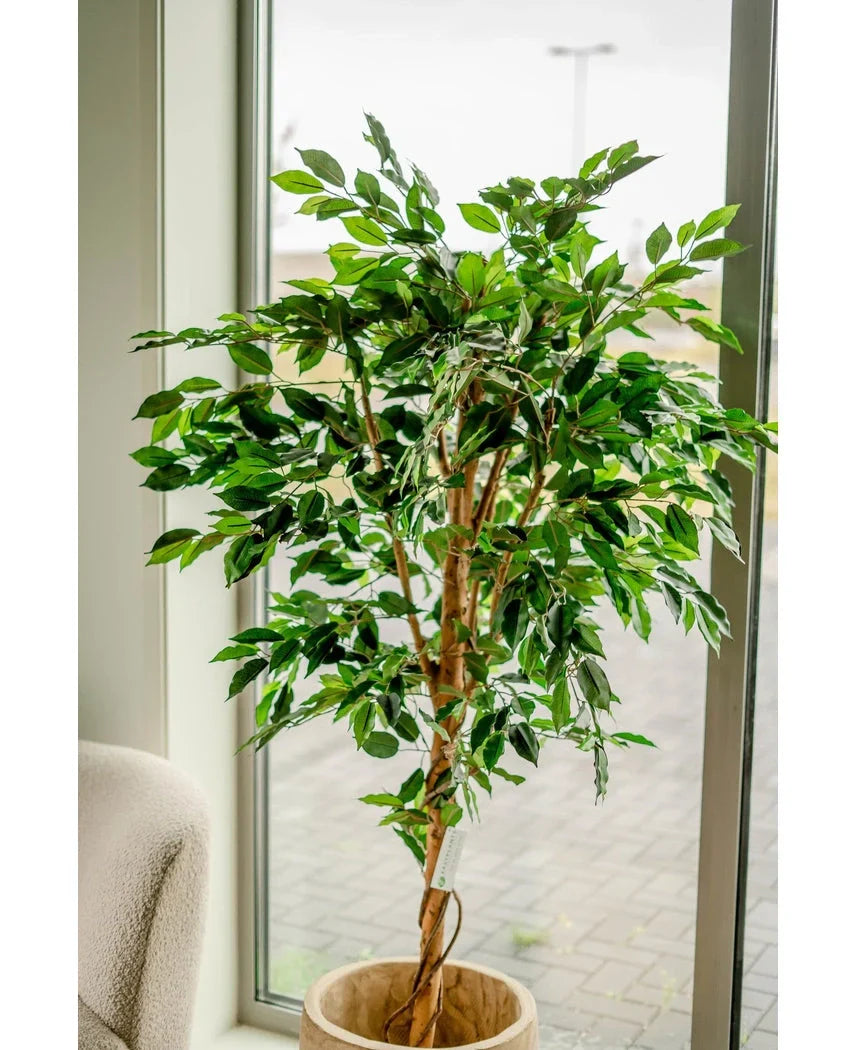 Kunstpflanze Ficus Grün 180 cm