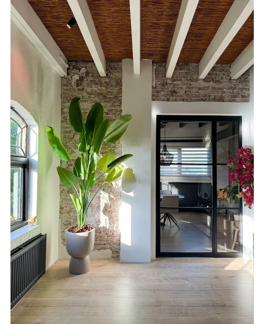 Kunstpflanze Strelitzia 210 cm Real Touch