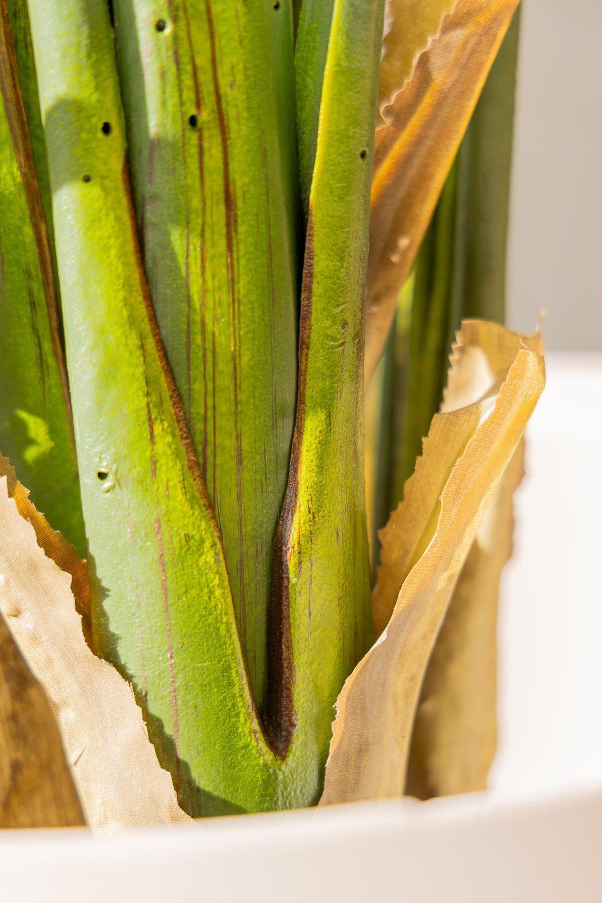 Kunstpflanze Strelitzia 180 cm Real Touch