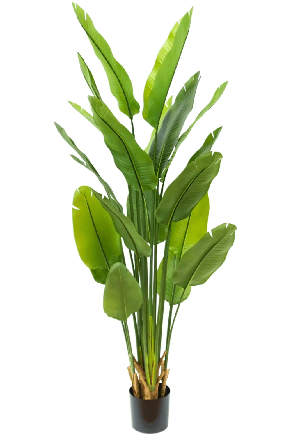 Kunstpflanze Strelitzia 180 cm Real Touch