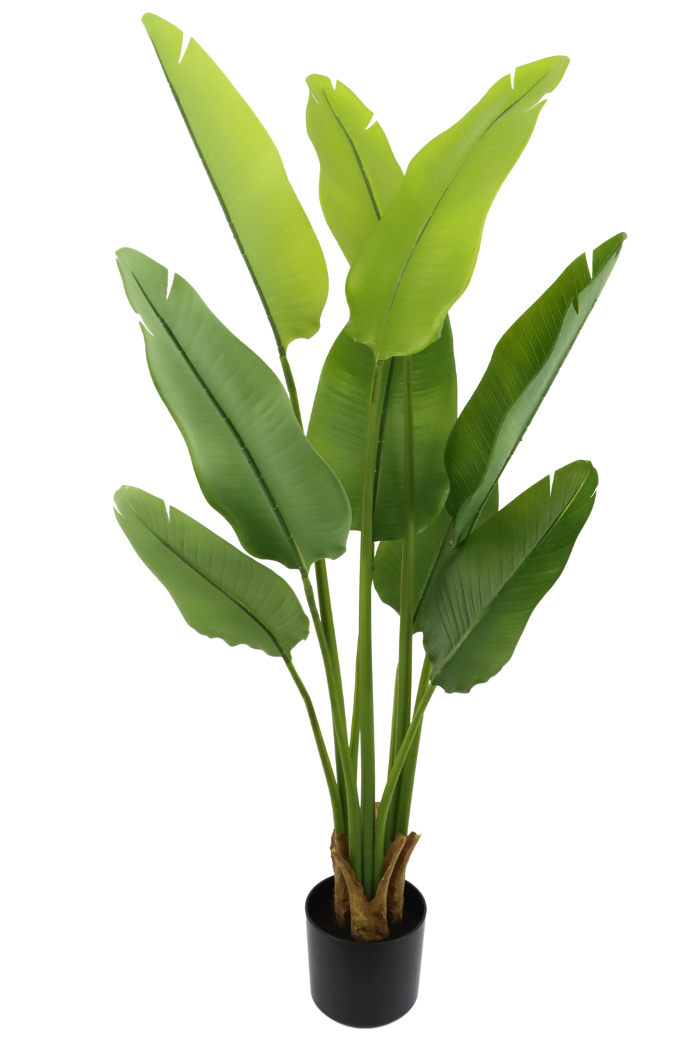 Kunstpflanze Strelitzia 120 cm