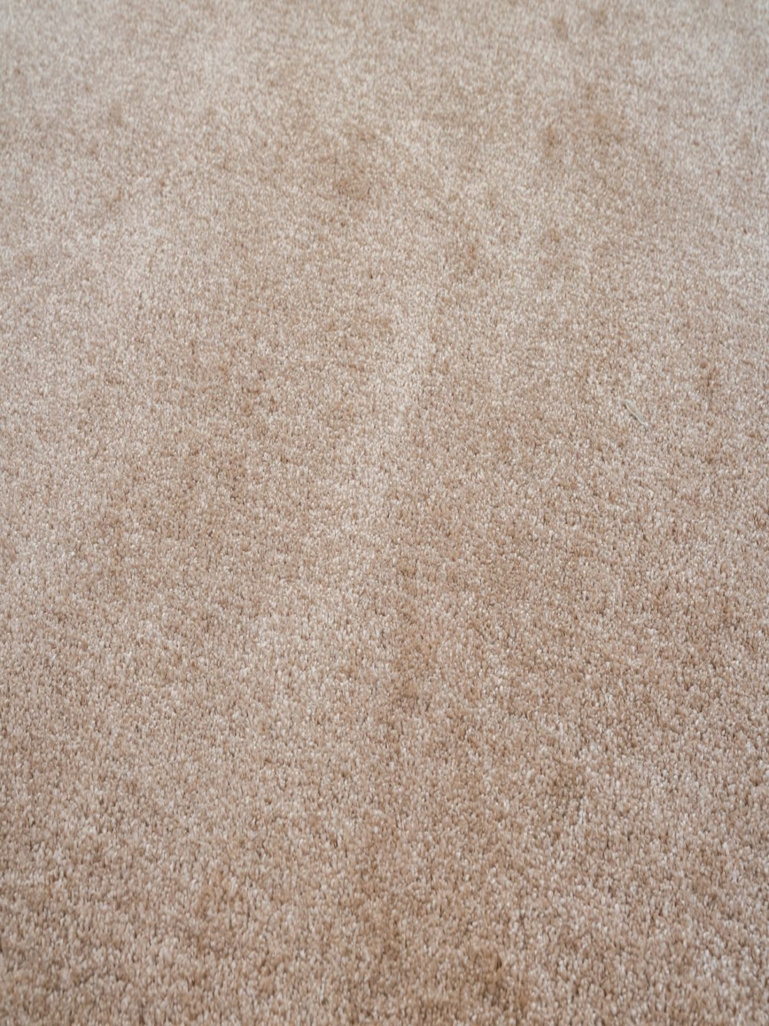 Teppich Asta – Beige