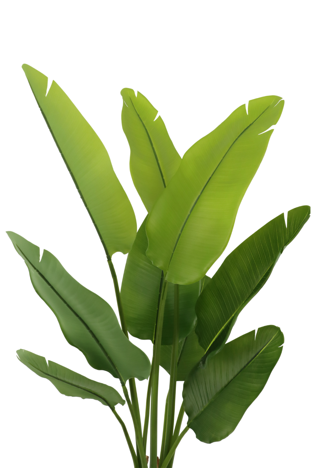 Kunstpflanze Strelitzia 120 cm
